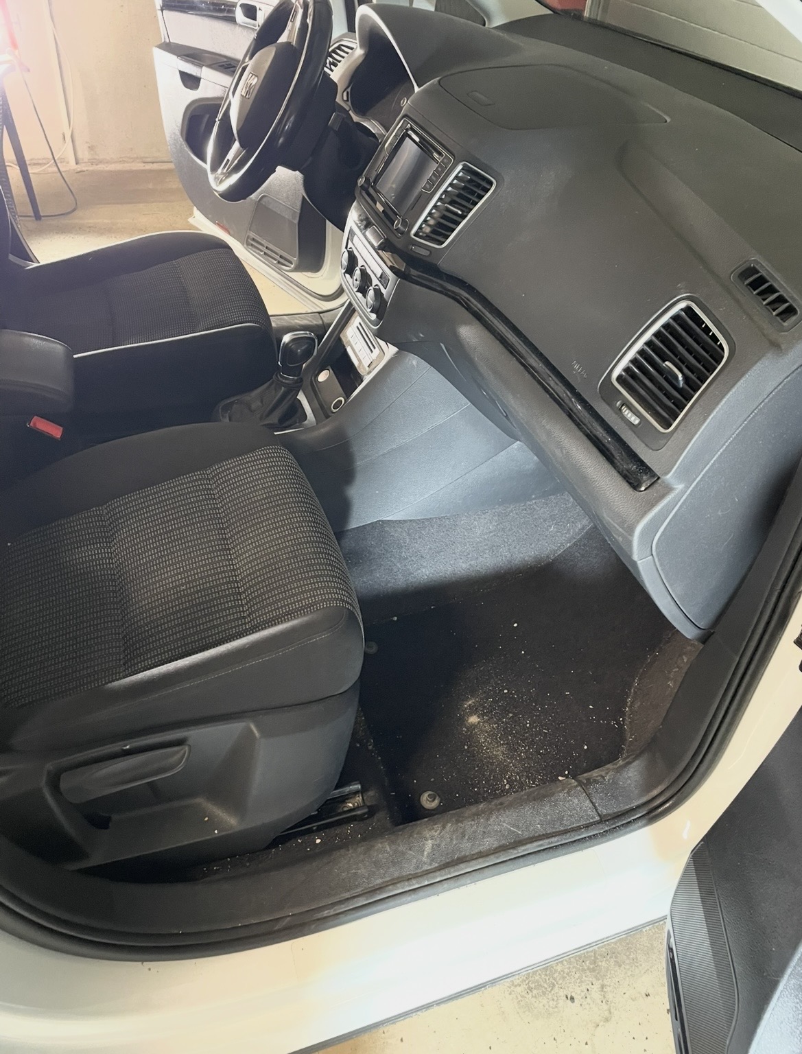 Vorher - Tierhaarentfernung